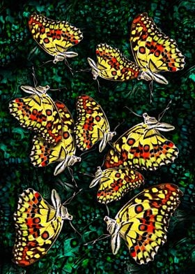 Buttefliesdance 