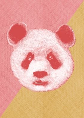 Panda pink yellow