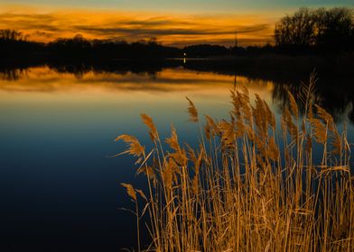 Sunset at Reedy Point Pond