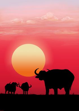 Buffalo silhouette