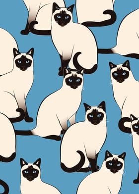 Siamese Cats Group