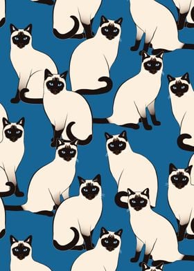 Siamese Cats Crowd Dark