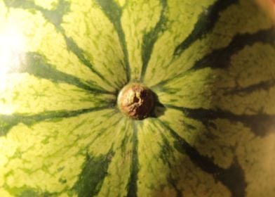 close up de sandia