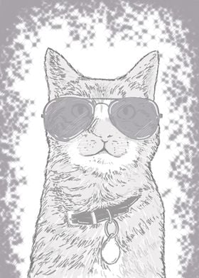 Cat sunglasses