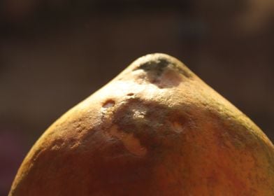 Papaya