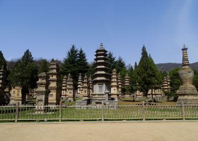 Graveyard shaolin temple