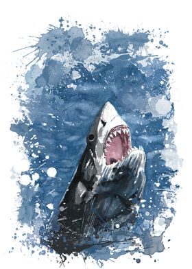 White Shark