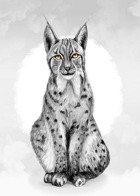 charcoal lynx colorkey