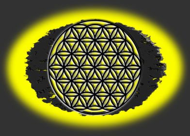 Flower of life on a stone