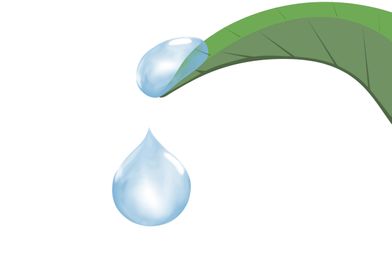water drop and leaf