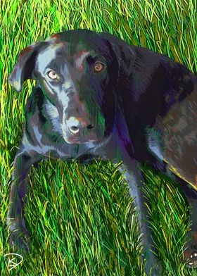 Black Lab Dog Painting