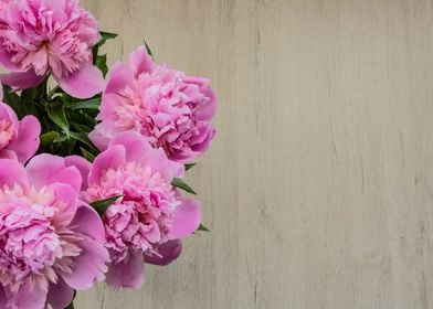 Peonies flowers