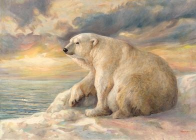 Polar Bear Sits On The Ice