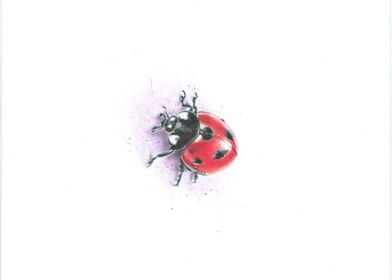Ladybug Fly Away Home
