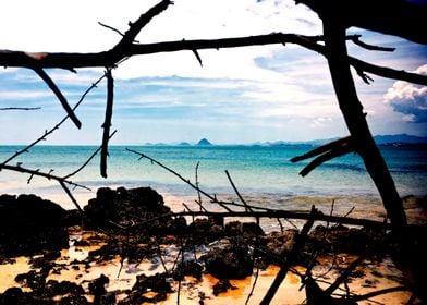 BEACH BOCA DA BALEIA 