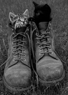 Kitty Boots