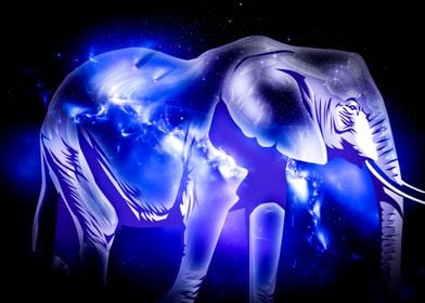 Elephant Cosmic Art