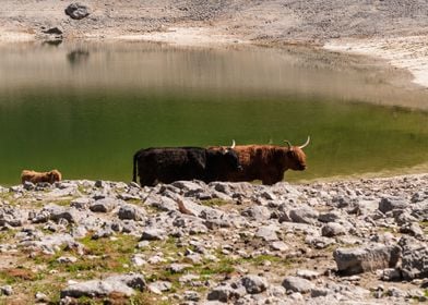 Dolomites