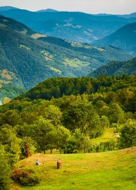 Carpathian landscape