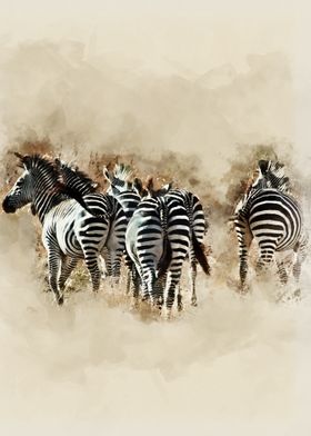 Zebras