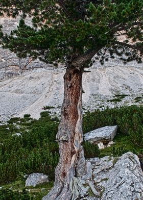 Dolomites