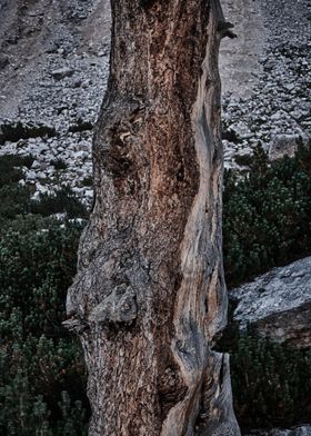 Dolomites