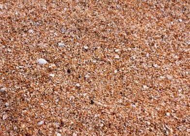 Grainy Sand on a beach