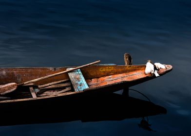 Dal Lake