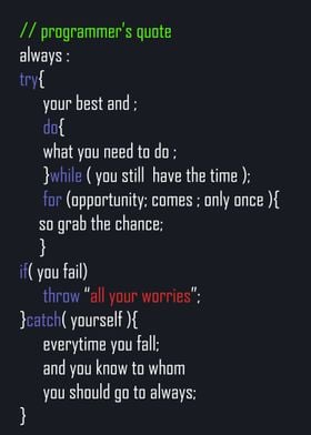 programmer s quote