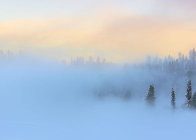 Winter in Gulmarg