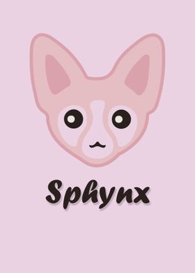 Sphynx Cat