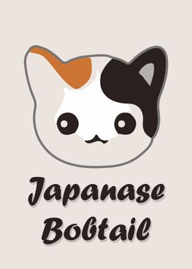 Japanese Bobtail Cat