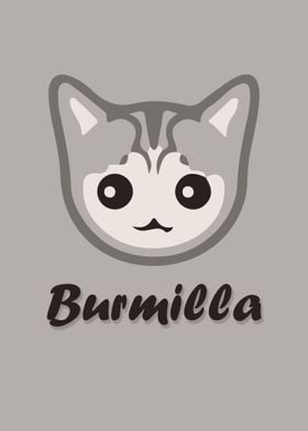 Burmilla Cat