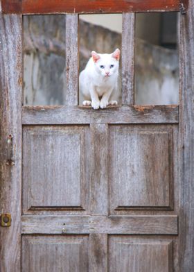 Doors of Europe