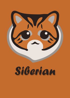 Siberian Cat