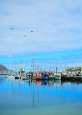 Landscapes of South Africa