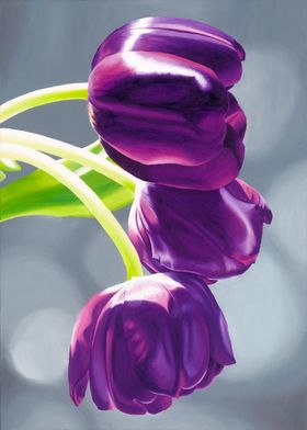 Purple Tulips II