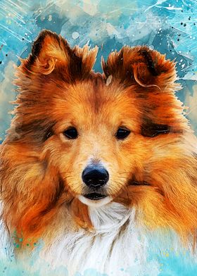 Dog collie art