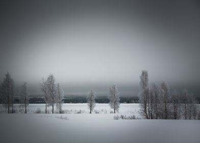 Winter in Finland