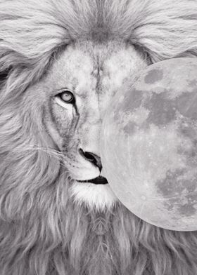 white lion moon poster 