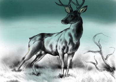 stag