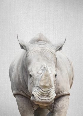 Rhino Colorful