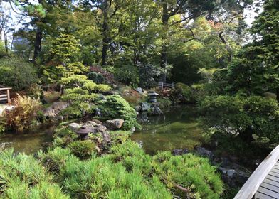 Japanese Tea Garden 3