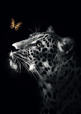 jaguar with butterfly 