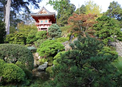 Japanese Tea Garden 1