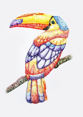 Dotted Tropical Birdie