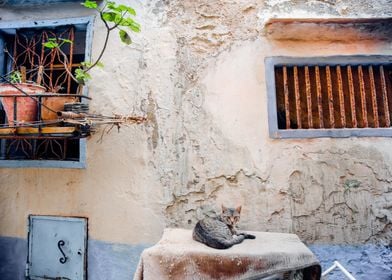 Streets of Essaouira