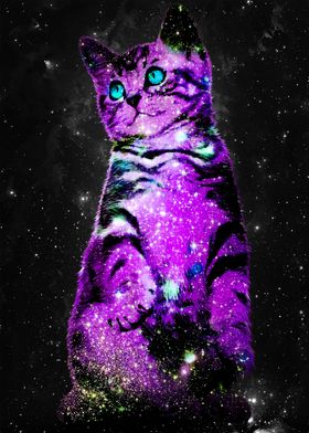 Star Dust Cat