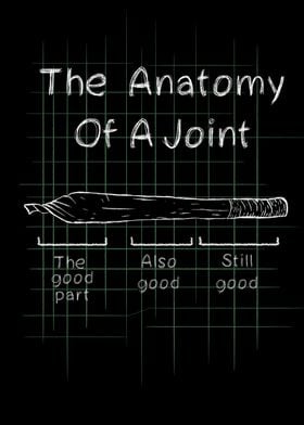 The Anatomy Of A Joint