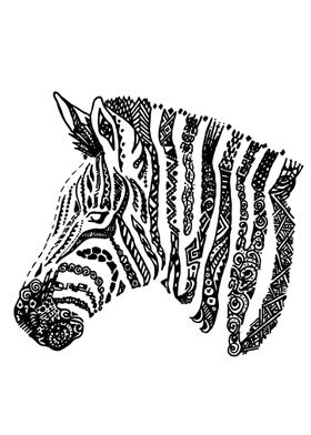 Abstract Zebra